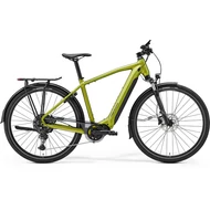 Trekking E-BIKE