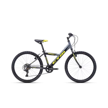 CTM Willy 1.0 2022 (24") Gyermek kerékpár - Szürke/Zöld