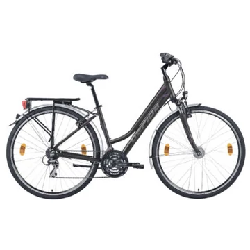 Gepida Alboin 200 PRO 2025 Női trekking kerékpár - Szürke/Lila